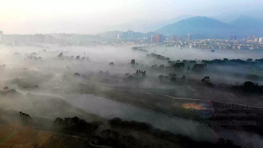 求此菌类的名称和简介。